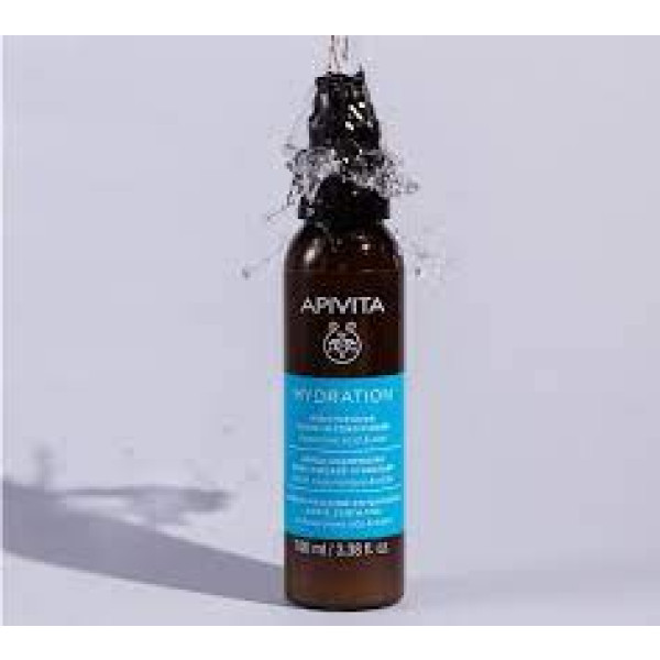 Apivita Capil Condic Leave-In Hid 100ml.jpeg